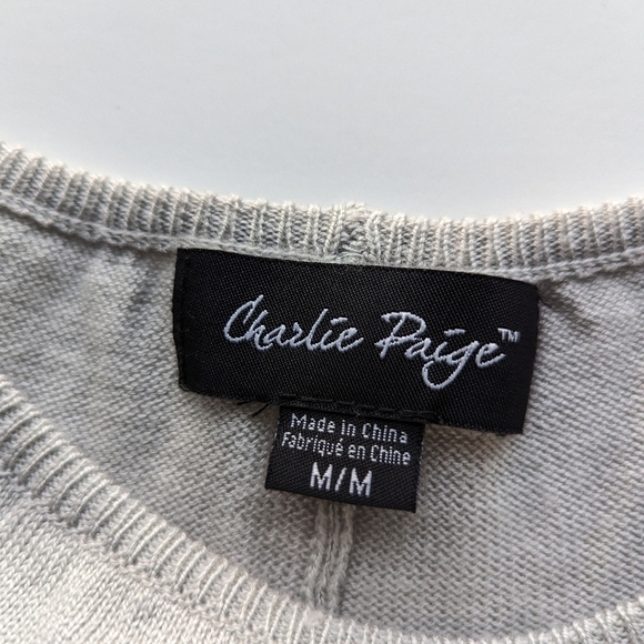 Charlie Paige Sage Gray Boat Neck Ribbed Seamed Long Sleeve Sweater Dress- sz M - Picture 10 of 10